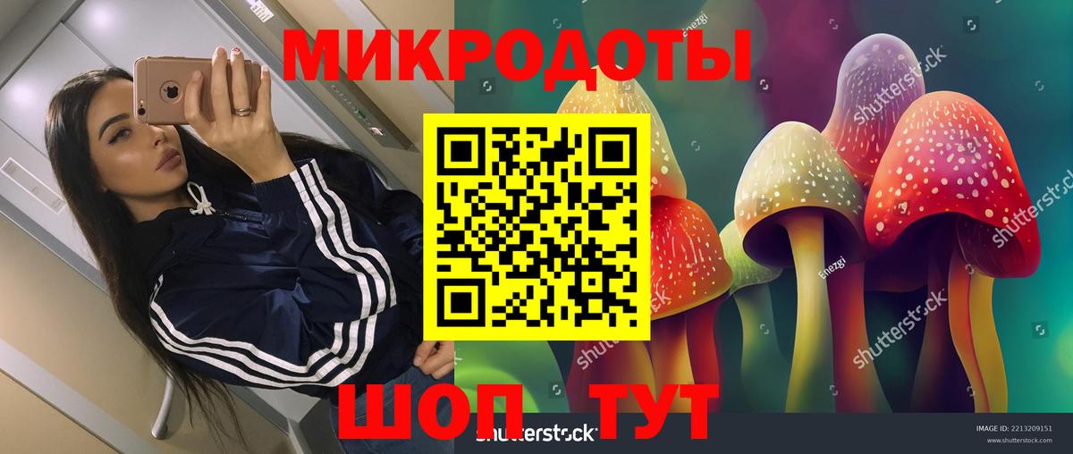 Галлюциногенные грибы GOLDEN TEACHER  Вход с VPN  Фрязино  Псилоцибиновые грибы MAGIC MUSHROOMS 